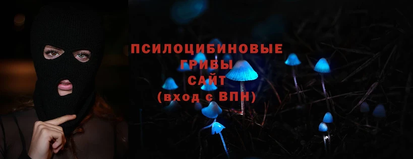 Галлюциногенные грибы Psilocybine cubensis  сколько стоит  ссылка на мегу зеркало  Западная Двина 